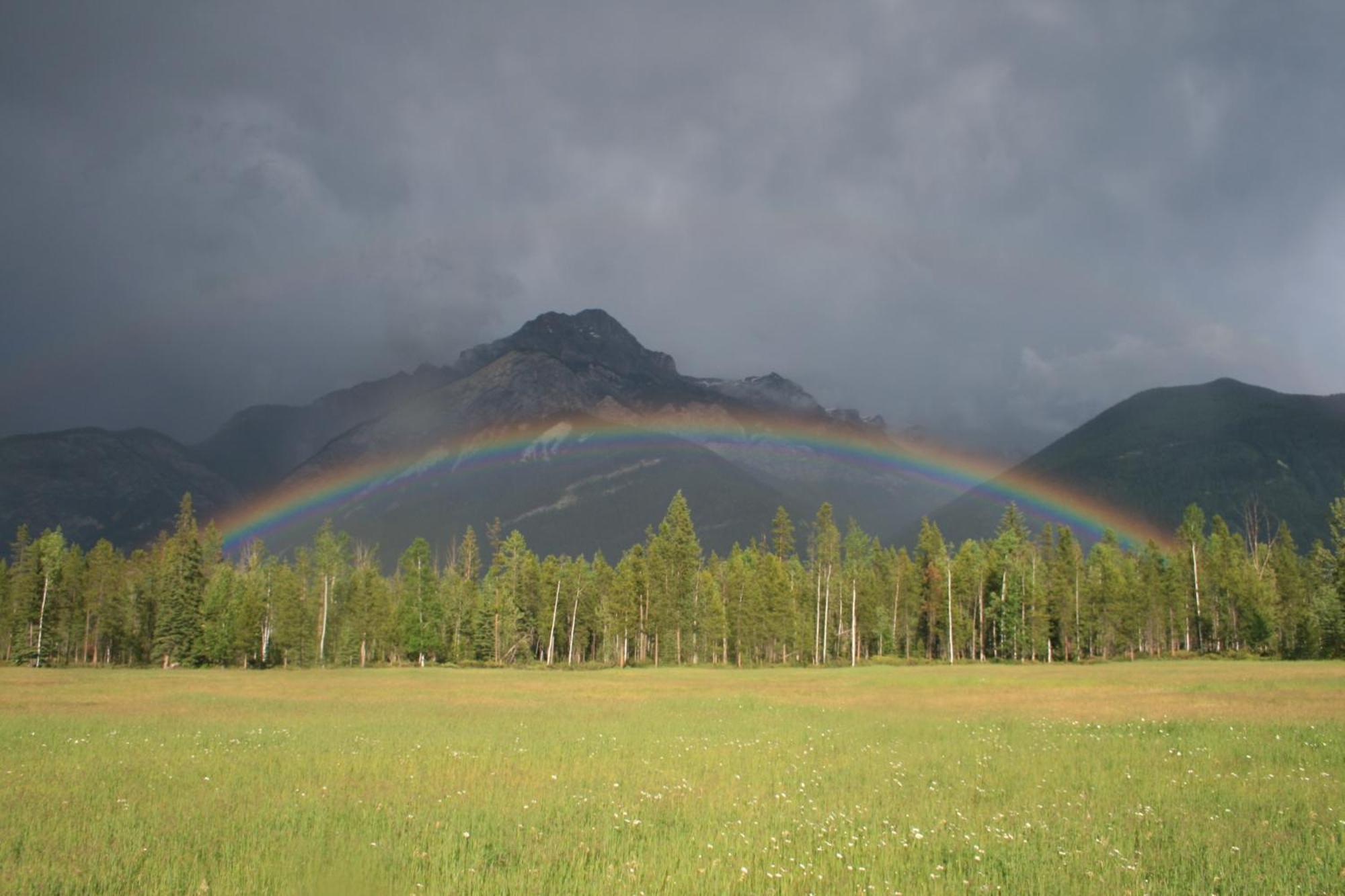 Rocky Mountain Cabins And Home Golden Exterior foto